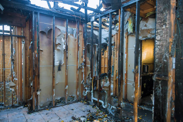 Professional Fire Damage Removal technician working in Ponder, TX